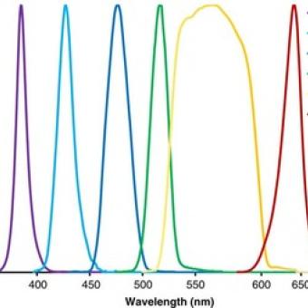 Spectrum of a multi-wavelength LED system