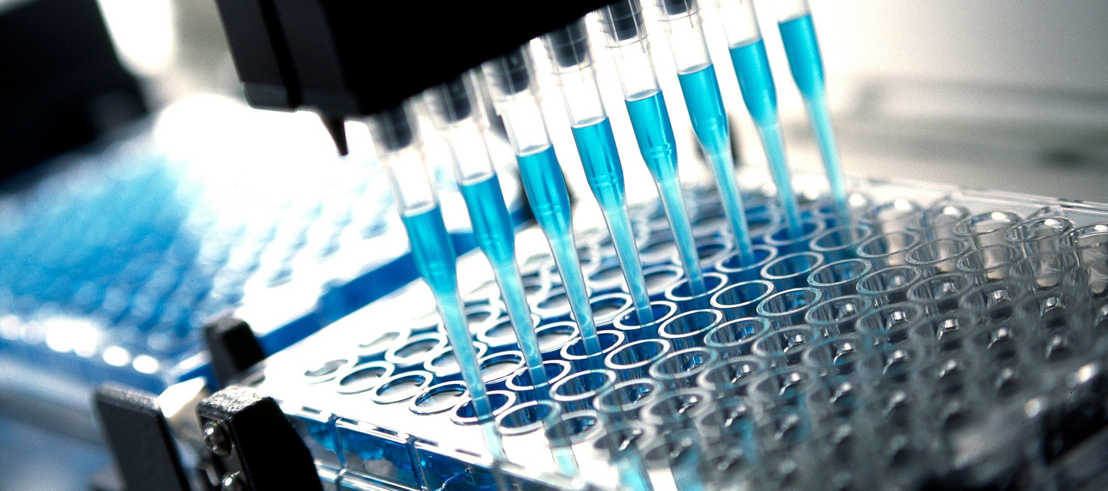 ApplicPhoto_ClinicalDiag_McroPlt-HERO