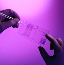 Excelitas has expertise in DNA Sequencing across all photonics disciplines