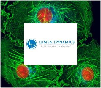 Lumen Dynamics标志