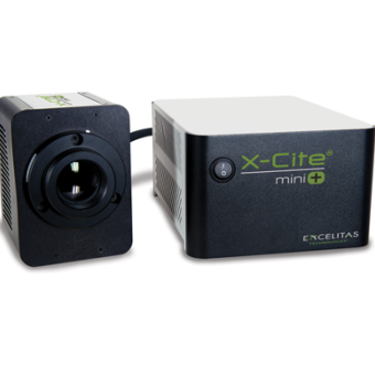 X-Cite mini+