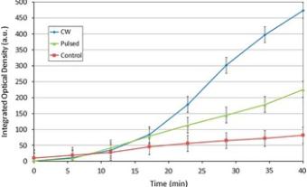 Effect of LEDs on biological cells