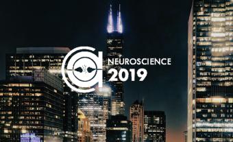 SFN 2019