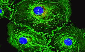 Challenges and Need for Developing Green Wavelength Technology in Life Science Fluorescence Applications