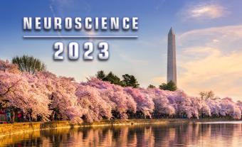 Neuroscience 2023