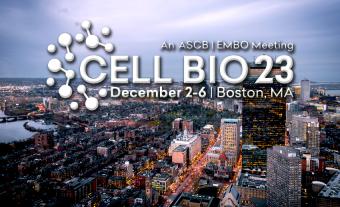 Cell Bio 2023