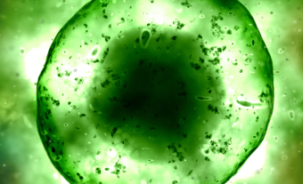Multiplex Imaging