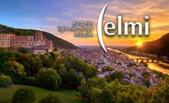 ELMI 2025