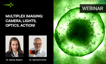 Multiplex Imaging