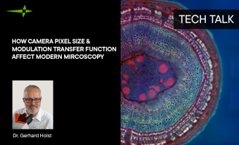 How Camera Pixel Size and Modulation Transfer Function Affect Modern Microscopy Presentation