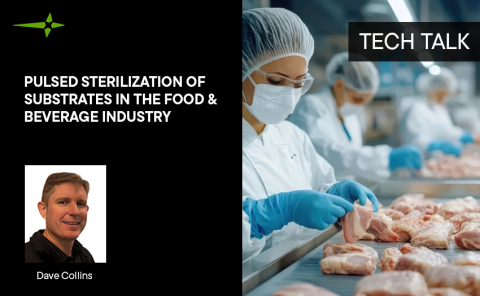 Pulsed Sterilization of Substrates in the Food and Beverage Industry