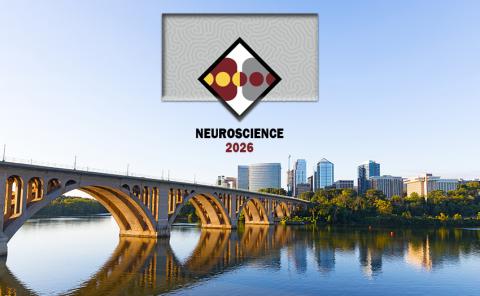 Neuroscience 2026