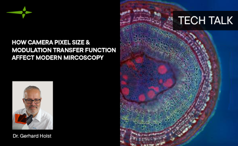 How Camera Pixel Size and Modulation Transfer Function Affect Modern Microscopy Presentation