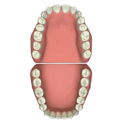 ProdPhoto_Dentistry3DMapping_TeethArch.jpg Excelitas excels in providing a range of optical technologies for 3D dental mapping solutions