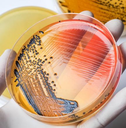 UVC LED Disinfection and antimicrobial Modules