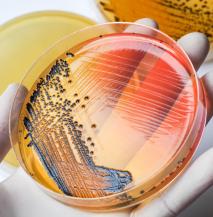 UVC LED Disinfection and antimicrobial Modules